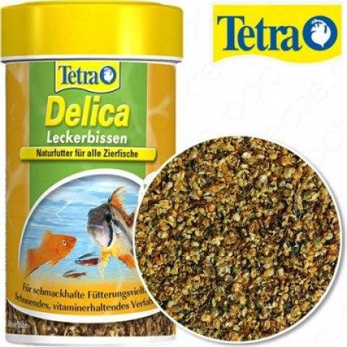 TETRA DELİCA DAPHNİA 100ML (Kurutulmuş Su Piresi)