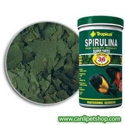 Tropical Spirulina Super Forte % 36 25 Ml (Kovadan Bölme)