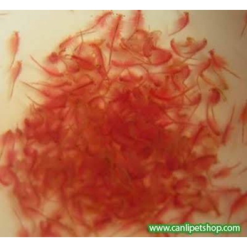 Dajana FD Brine Shrimp 100 Ml 15 Gr ( Kurutulmuş Artemia )