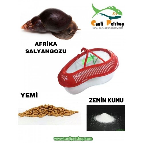 Dev Afrika Salyangozu Ve Bakım Seti Full Paket Komple Set