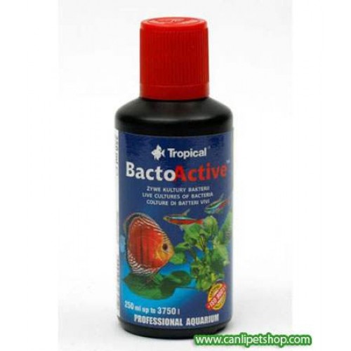 Canlı Bakteri Kültürü (Bacto-Active) 250 Ml