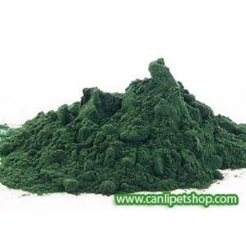 Saf spirulina tozu 15 gr