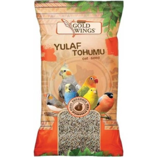 Gold Wings Yulaf tohumu 300 gr 