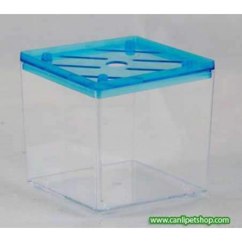 Mini Betta Kabı (Kardelen)