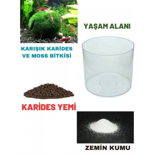 .Karides Akvaryumu Yaşam Alanı (Fanus+Yemi+Kum+Karides) Komple Set  **Ücretsiz Kargo**