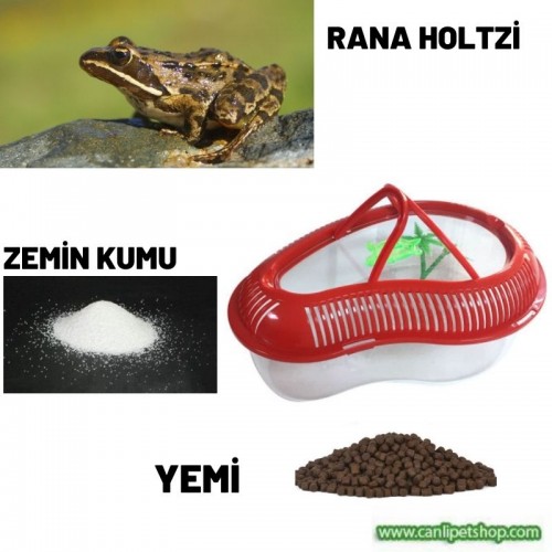 TatlıSu Kurbağası Teraryumu Yaşam Alanı (Teraryum+Yem+Hediye Kurbağa) Komple Set