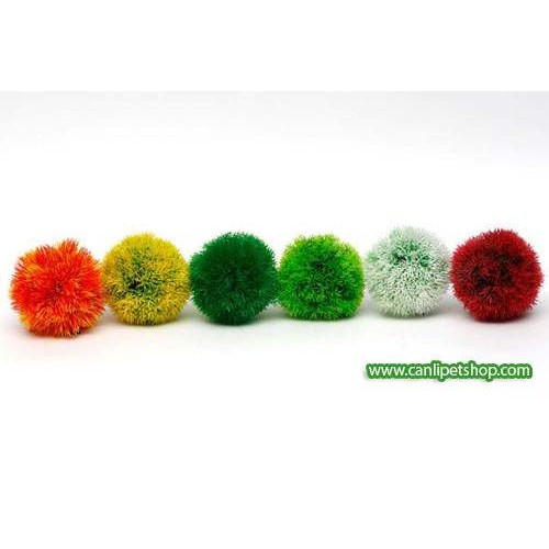 Renkli Yosun Topu (Moss Ball) Plastik Bitki