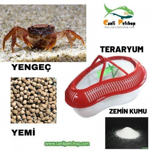 TatlıSu Yengeci Teraryumu Yaşam Alanı (Teraryum+Yem+Kum+Yengeç) Komple Set  **Ücretsiz Kargo**